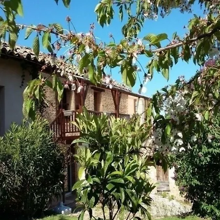 House La Foret De Sivens *